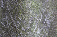 Powick fibreglass roof work